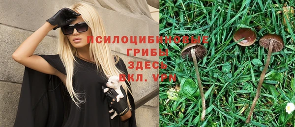 мдпв Богородицк
