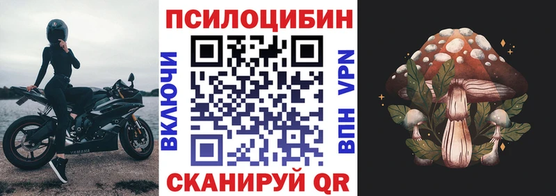 Купить закладки  Шумиха  Галлюциногенные грибы прущие грибы 