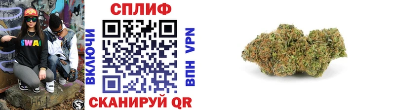 Купить где  Шумиха  Каннабис семена 